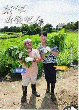 天使的翅膀钢琴抒情改编版本
